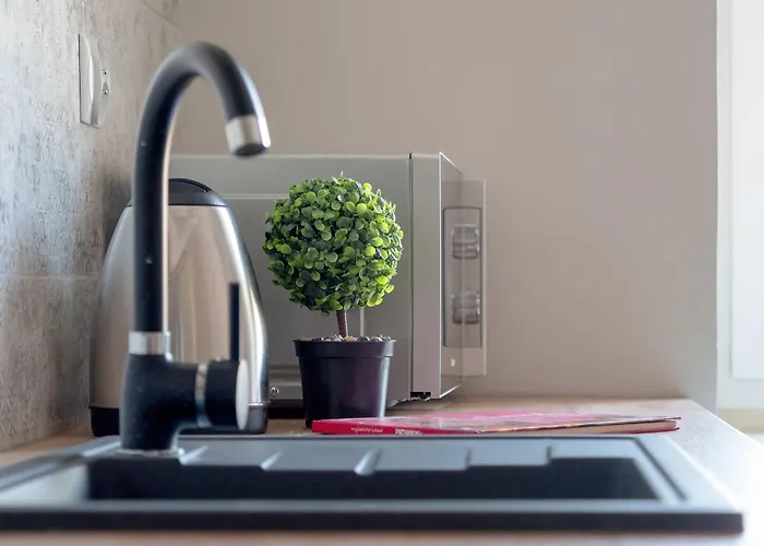 Wyjatkowy W Stylu Vintage Z Balkonem By Renters